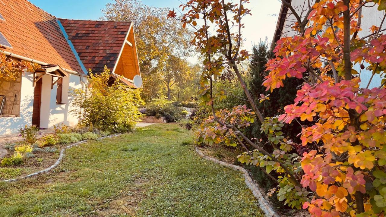 Vitamin B63 Vendeghaz Boldogkovaralja Exterior foto