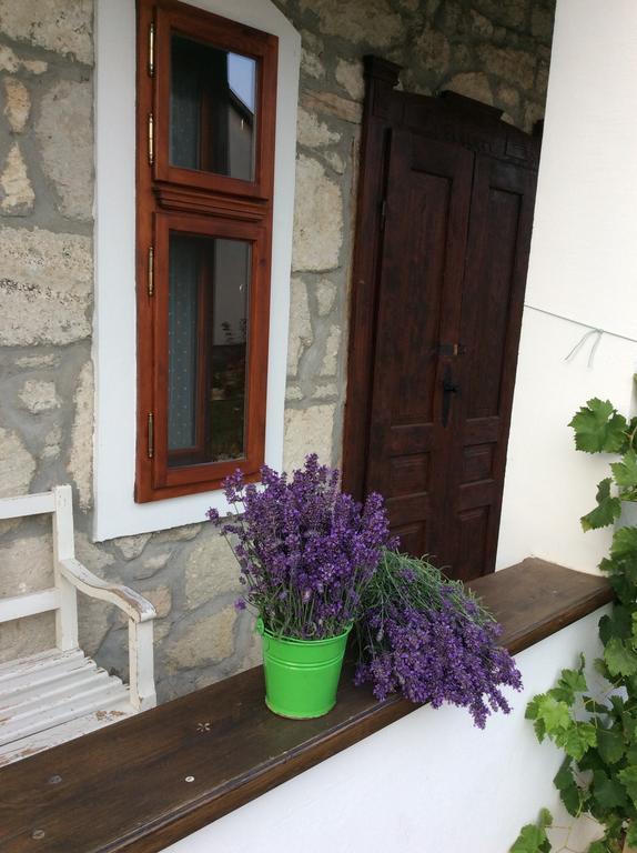 Vitamin B63 Vendeghaz Boldogkovaralja Exterior foto