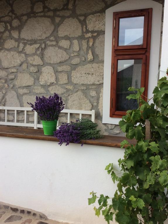 Vitamin B63 Vendeghaz Boldogkovaralja Exterior foto