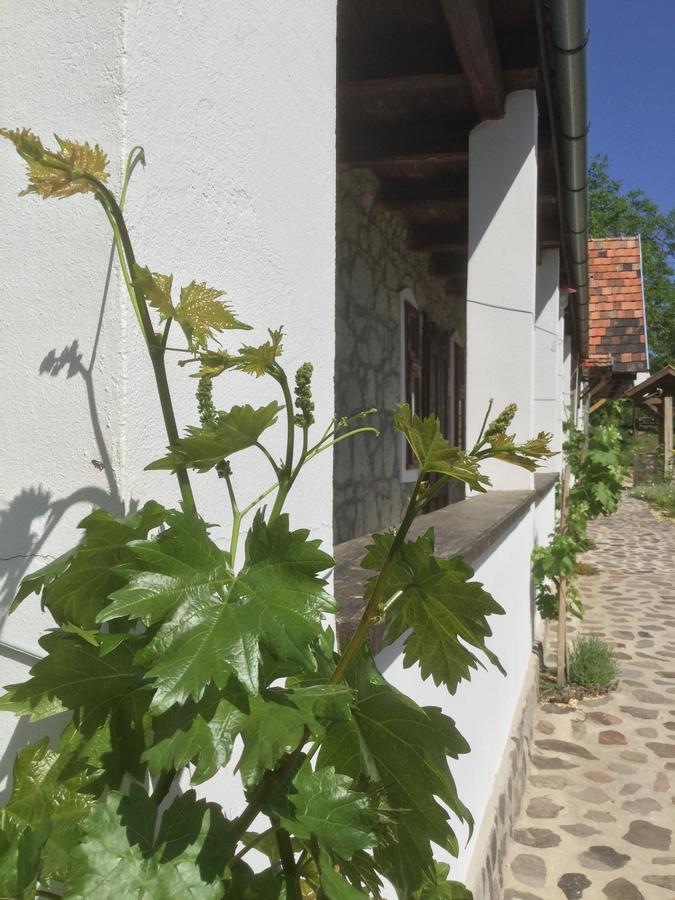 Vitamin B63 Vendeghaz Boldogkovaralja Exterior foto